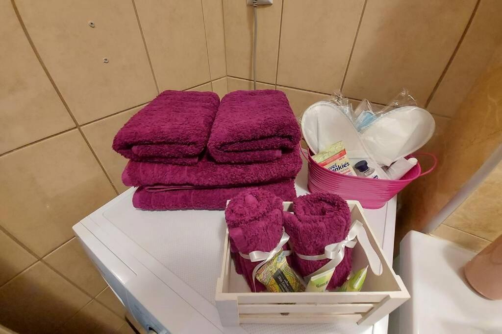 Violet Studio Με Πισίνα Vólosz Kültér fotó